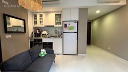 The Inflora (D17), Condominium #572016861